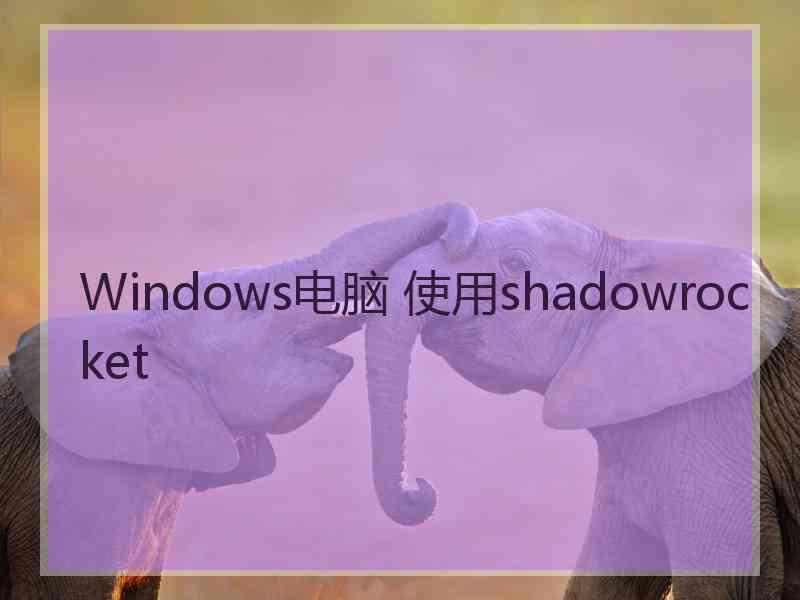 Windows电脑 使用shadowrocket