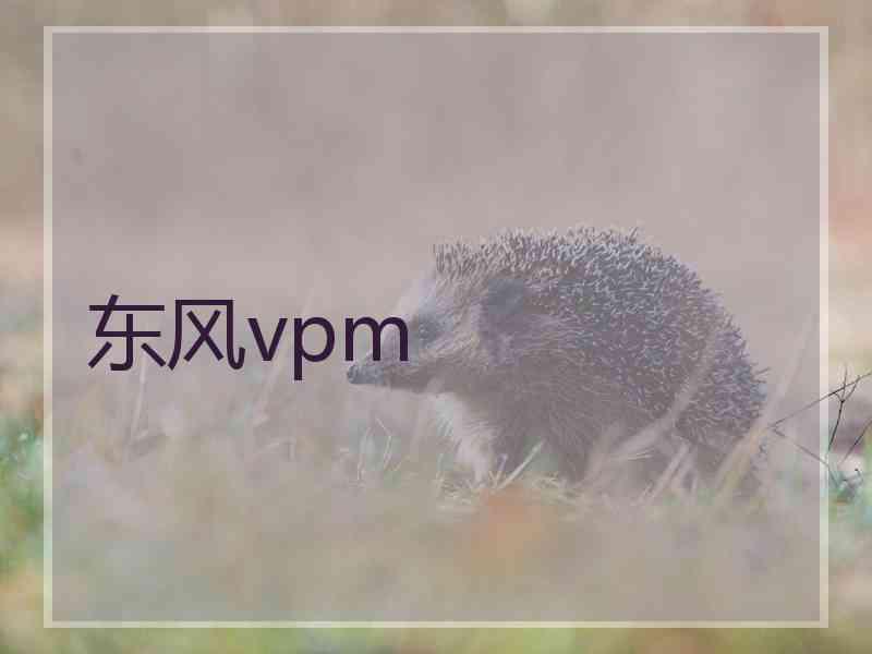 东风vpm