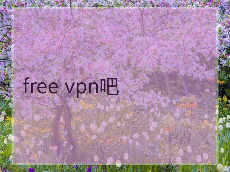 free vpn吧