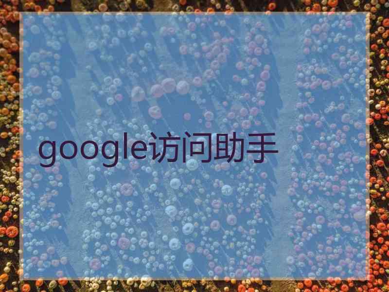 google访问助手