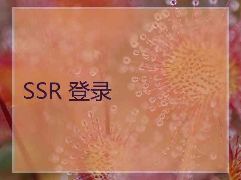 SSR 登录