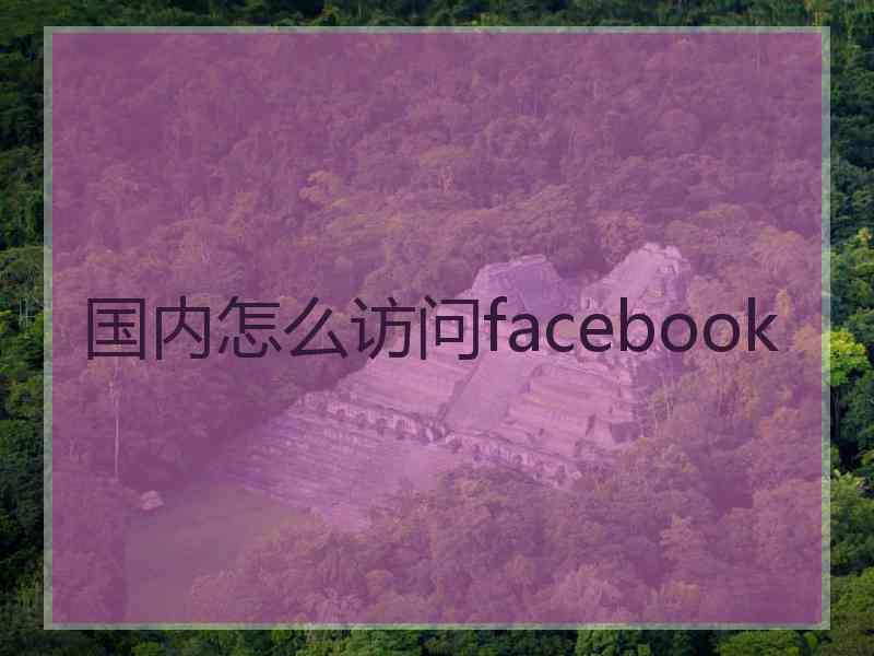 国内怎么访问facebook