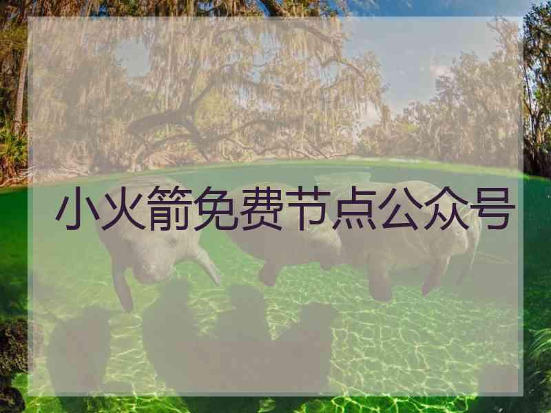 小火箭免费节点公众号