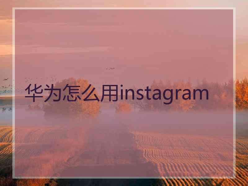 华为怎么用instagram