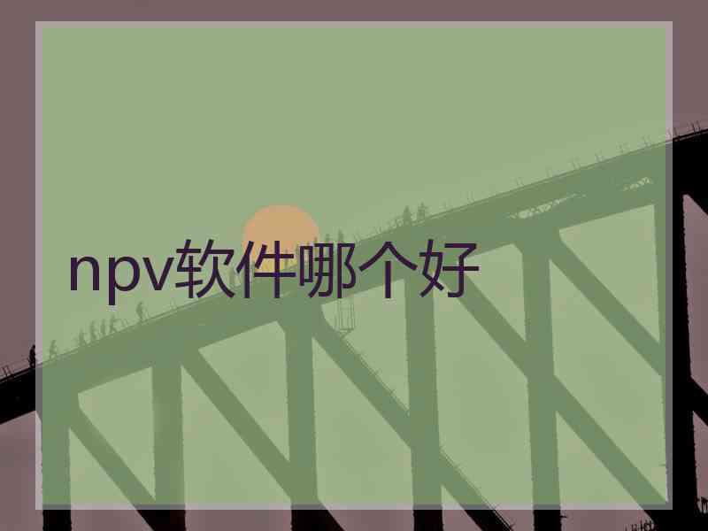 npv软件哪个好