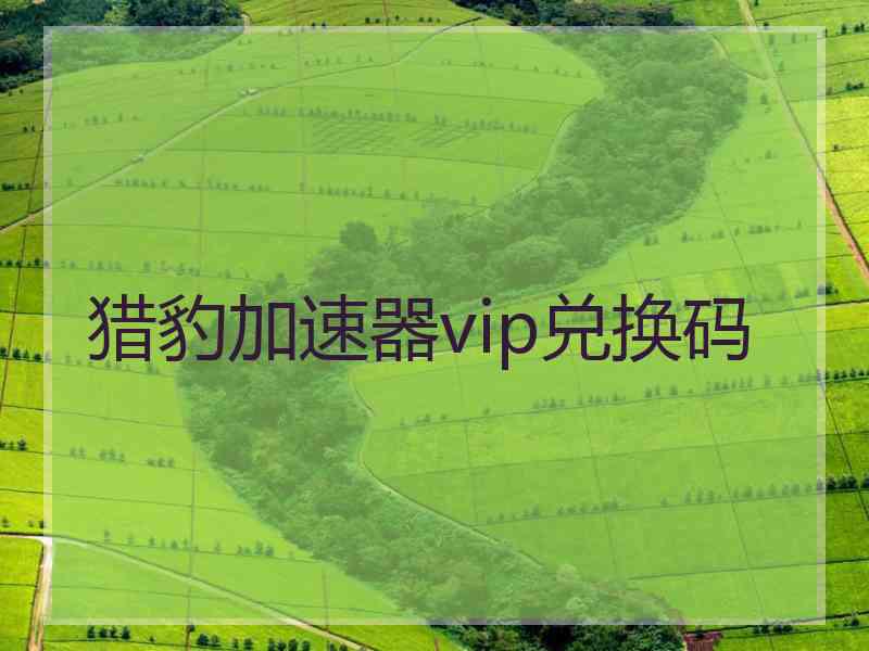 猎豹加速器vip兑换码