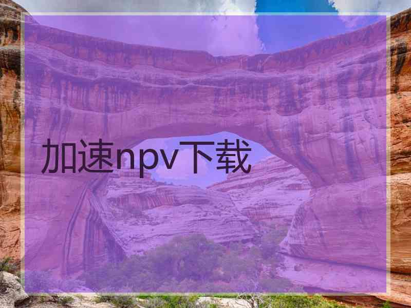 加速npv下载