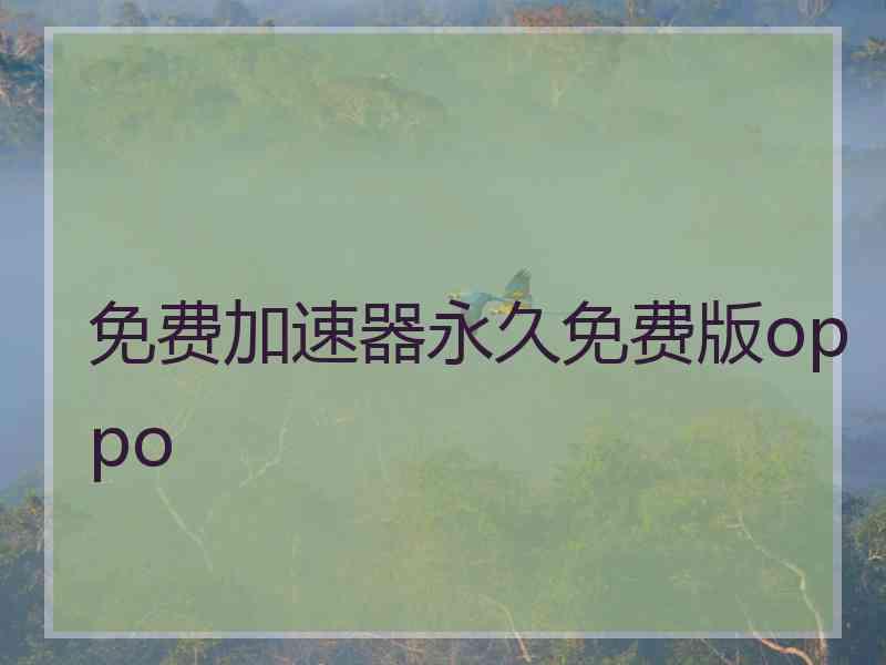 免费加速器永久免费版oppo