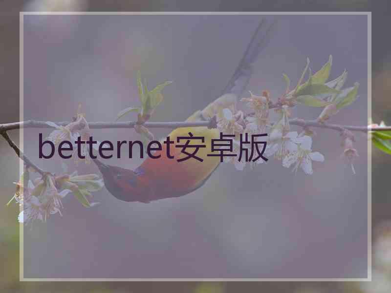 betternet安卓版