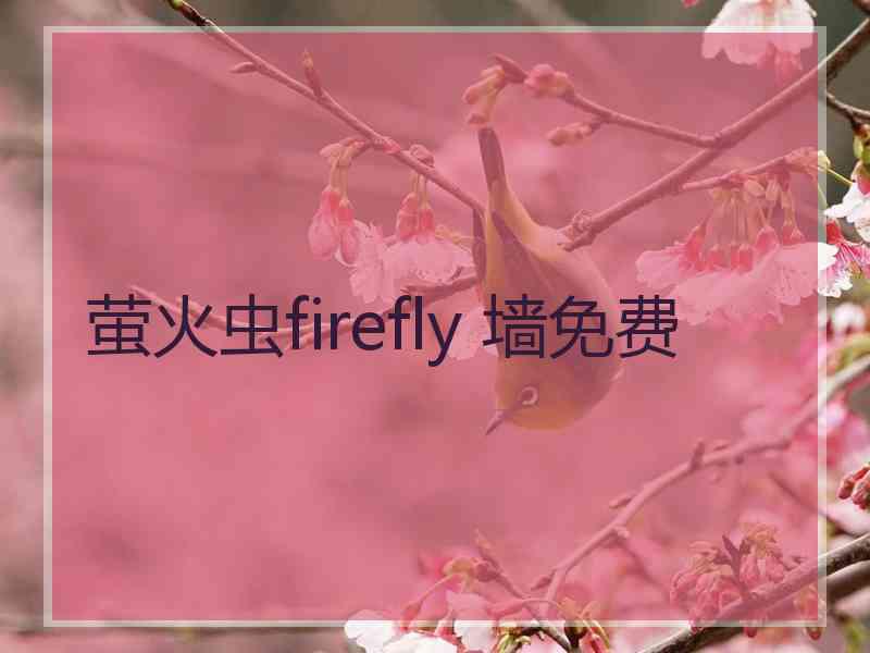 萤火虫firefly 墙免费