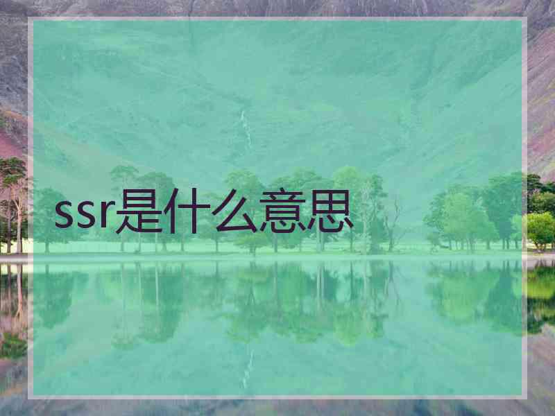 ssr是什么意思