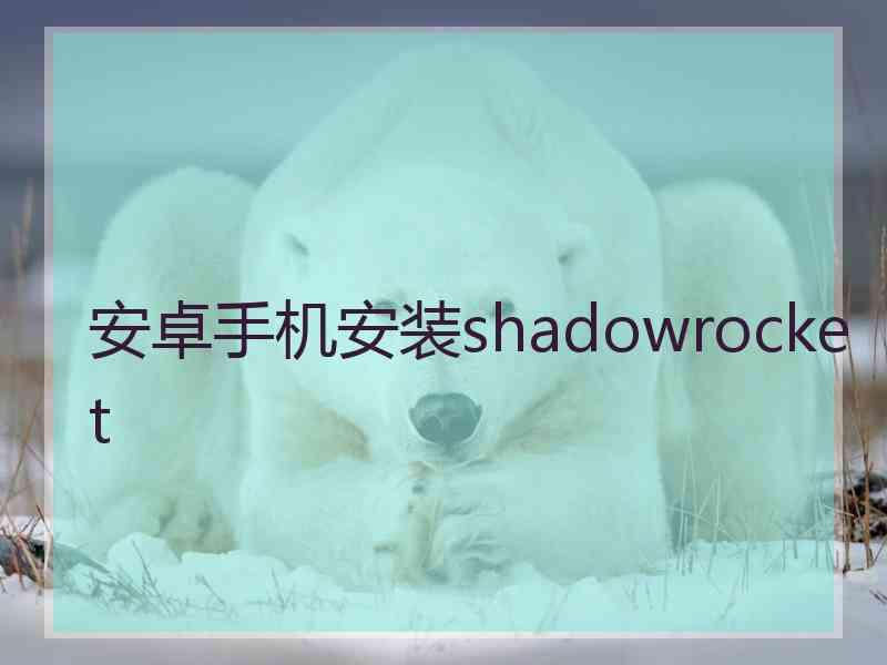 安卓手机安装shadowrocket