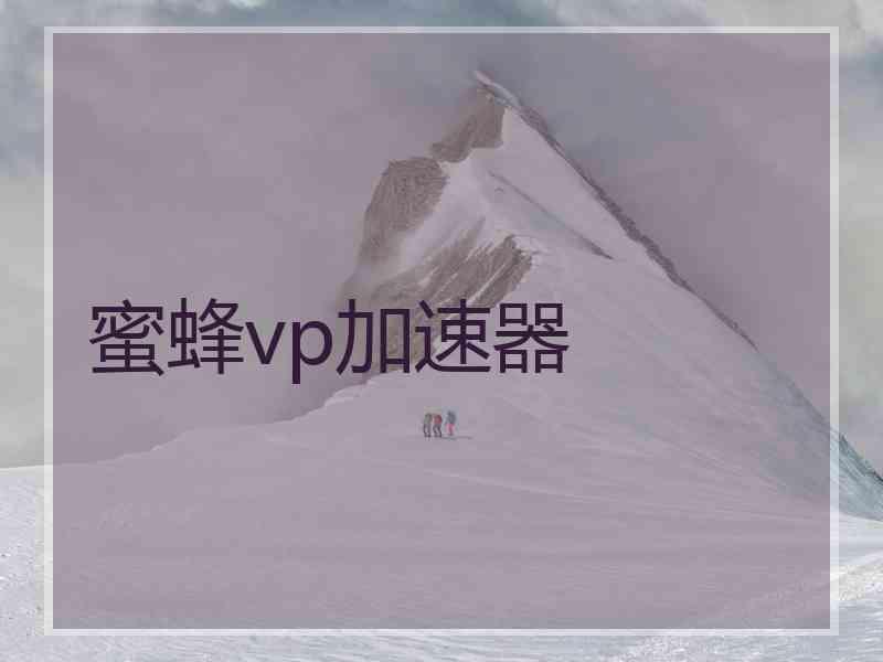 蜜蜂vp加速器