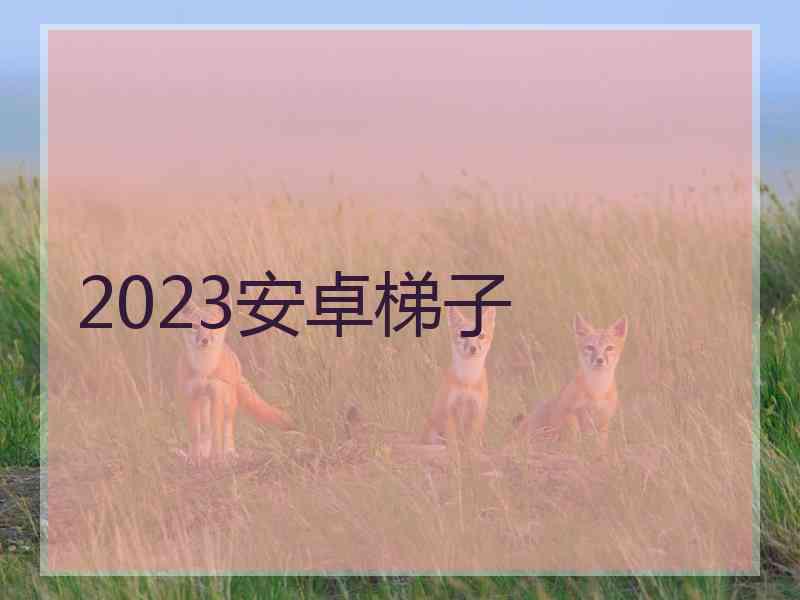 2023安卓梯子