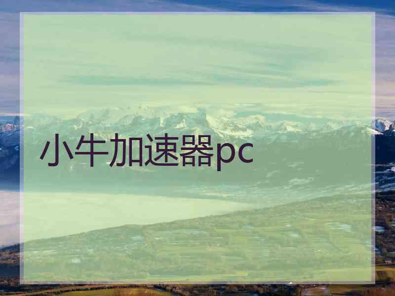 小牛加速器pc