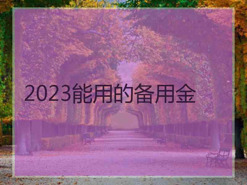 2023能用的备用金