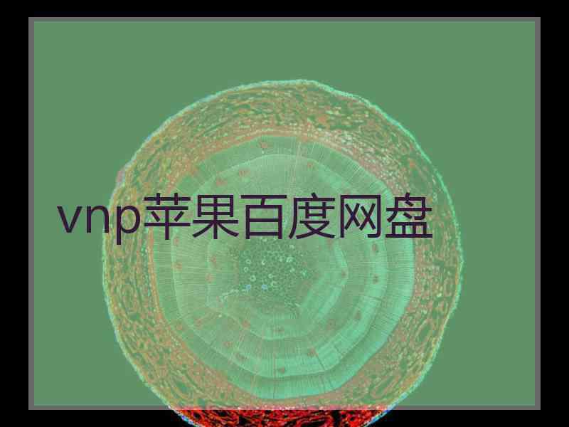 vnp苹果百度网盘