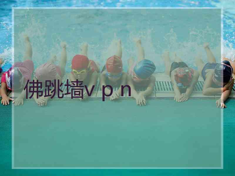 佛跳墙v p n