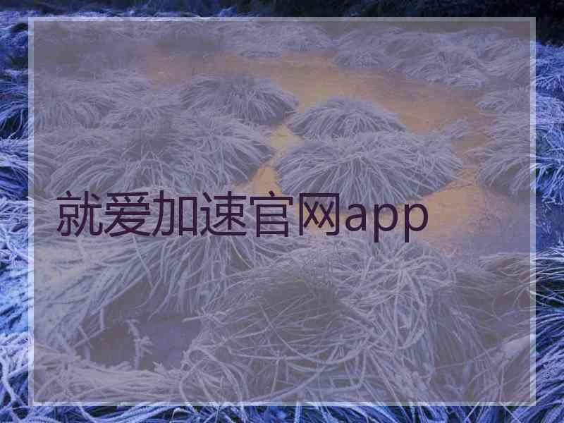 就爱加速官网app