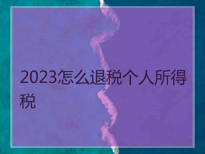 2023怎么退税个人所得税