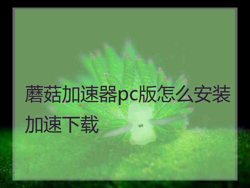 蘑菇加速器pc版怎么安装加速下载