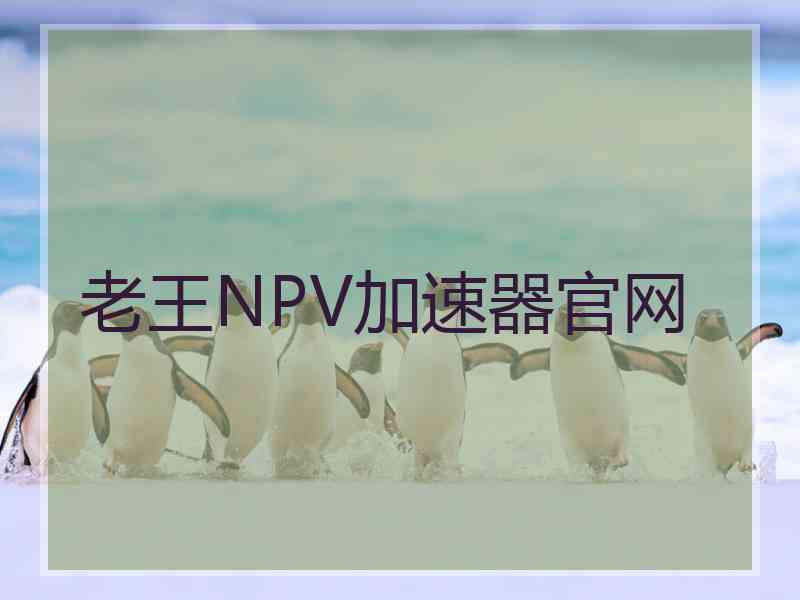 老王NPV加速器官网