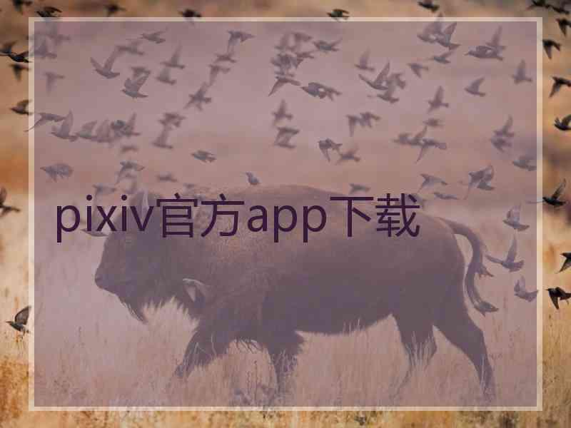 pixiv官方app下载