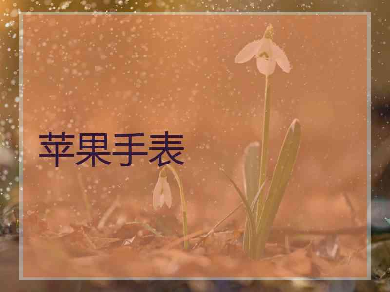 苹果手表