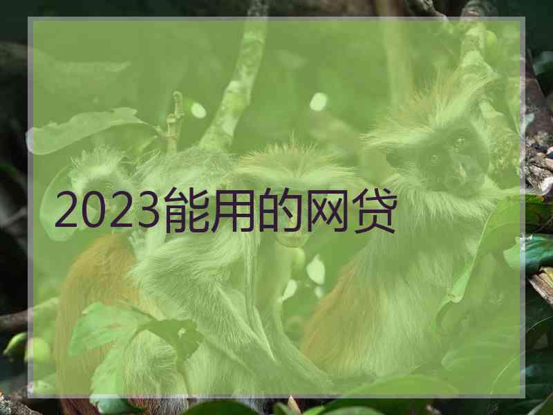 2023能用的网贷