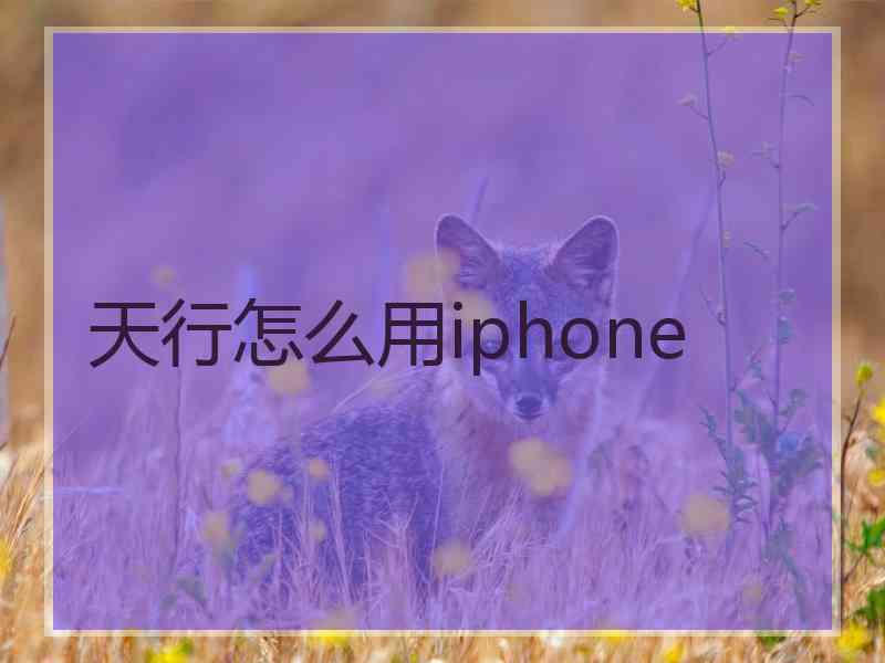 天行怎么用iphone