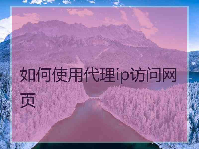 如何使用代理ip访问网页