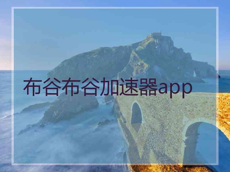 布谷布谷加速器app