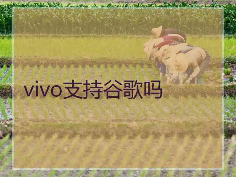 vivo支持谷歌吗