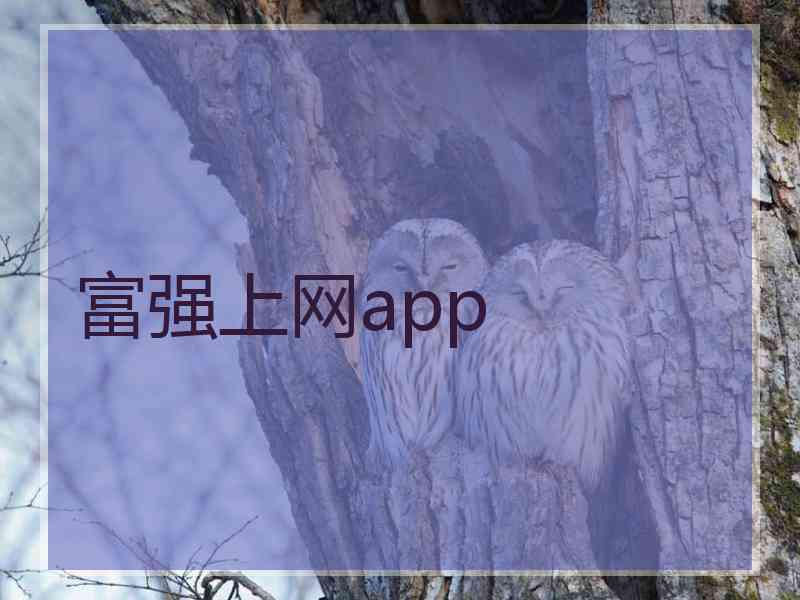 富强上网app