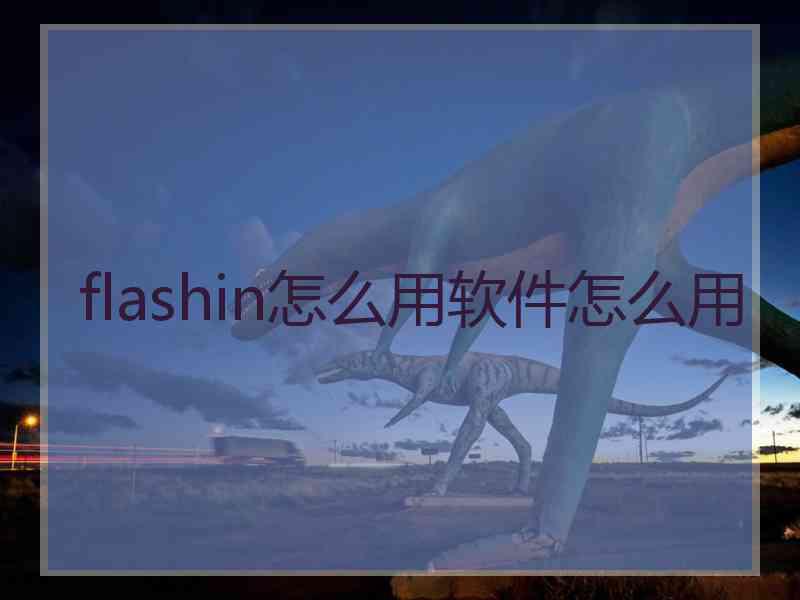 flashin怎么用软件怎么用