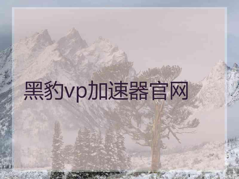 黑豹vp加速器官网