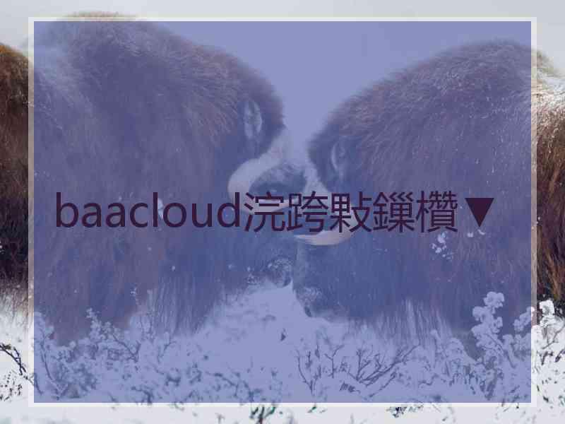 baacloud浣跨敤鏁欑▼