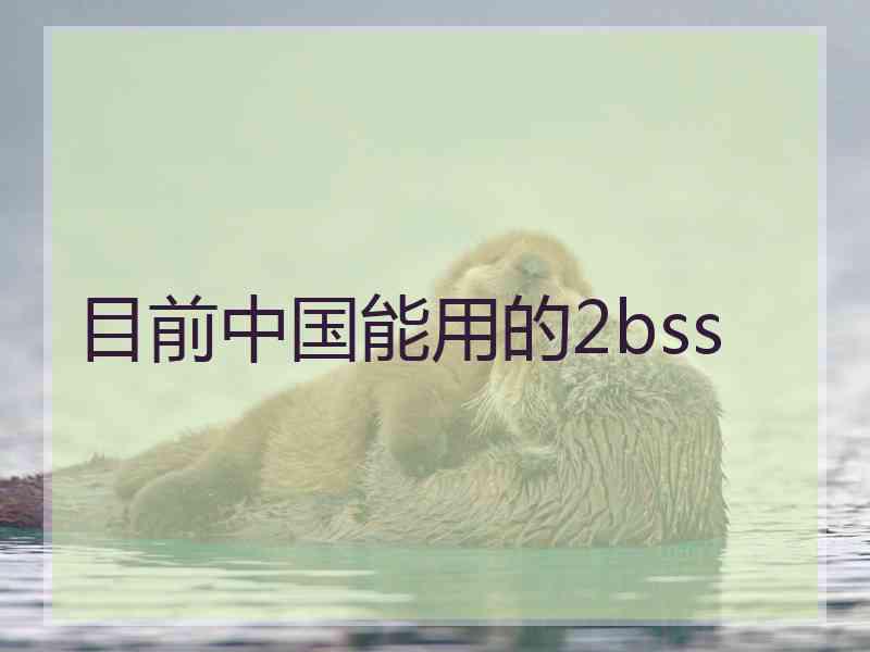 目前中国能用的2bss