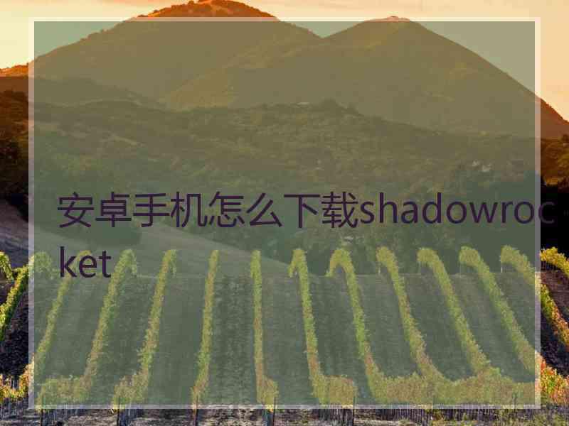 安卓手机怎么下载shadowrocket