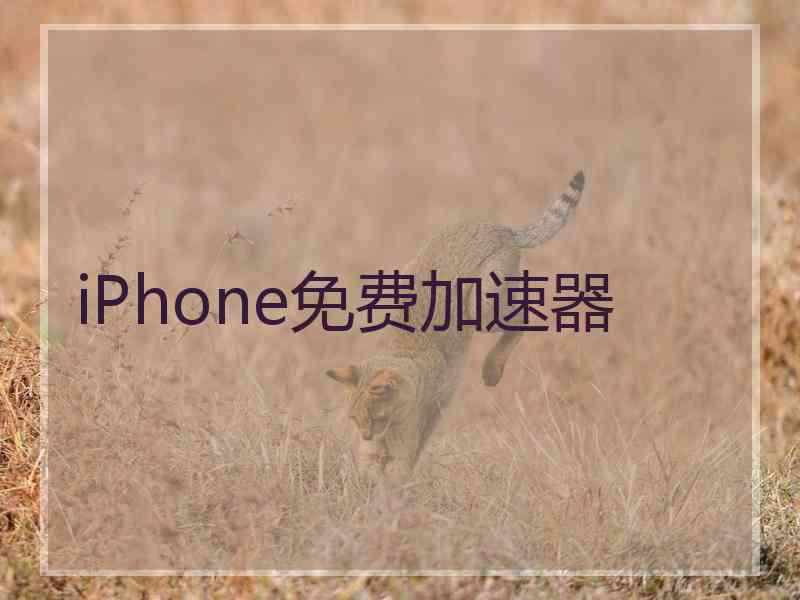 iPhone免费加速器