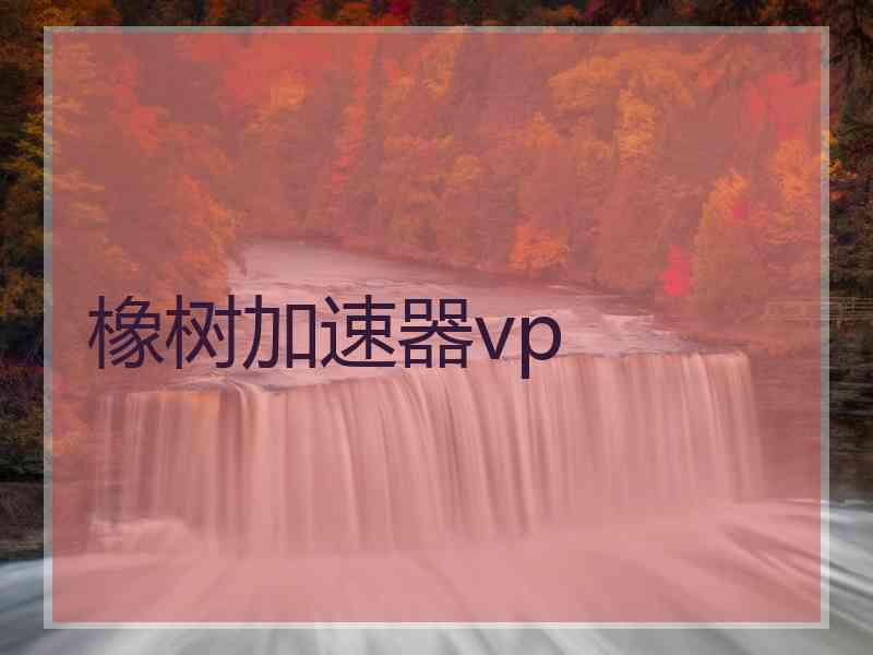 橡树加速器vp