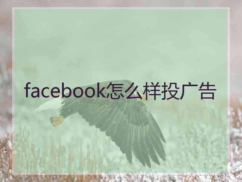 facebook怎么样投广告