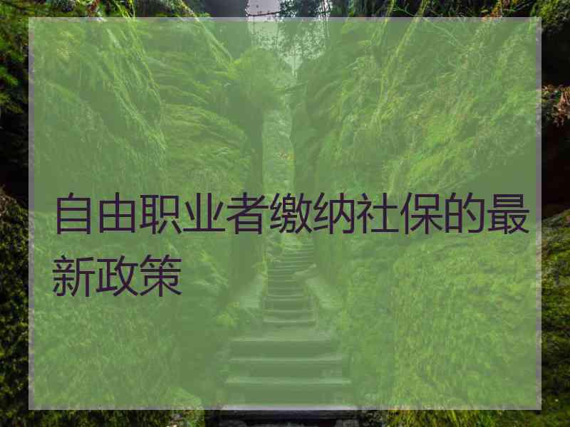 自由职业者缴纳社保的最新政策