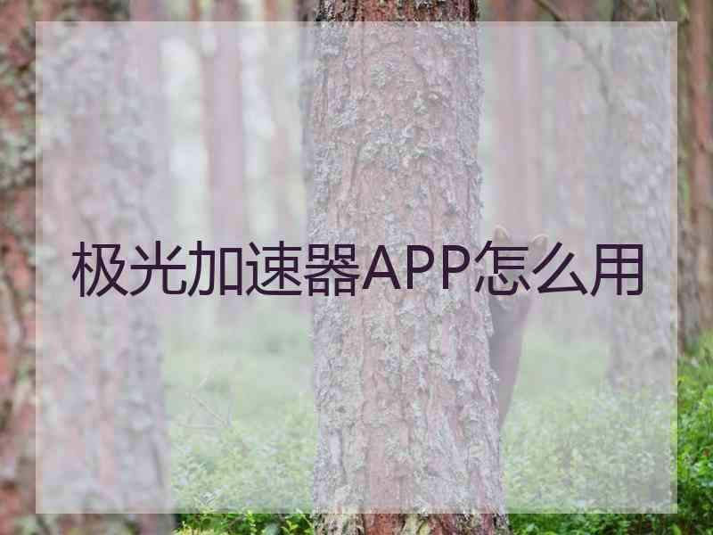 极光加速器APP怎么用