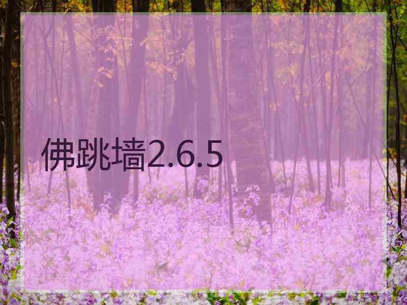 佛跳墙2.6.5