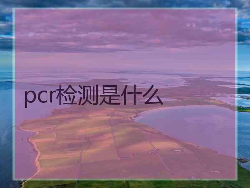 pcr检测是什么