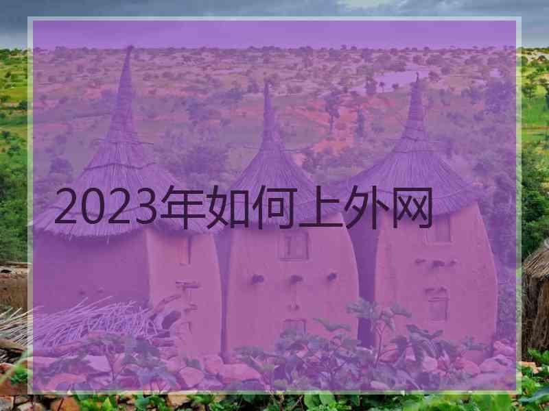 2023年如何上外网