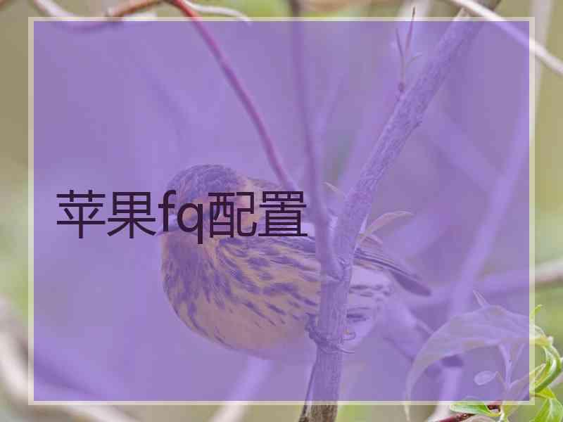 苹果fq配置