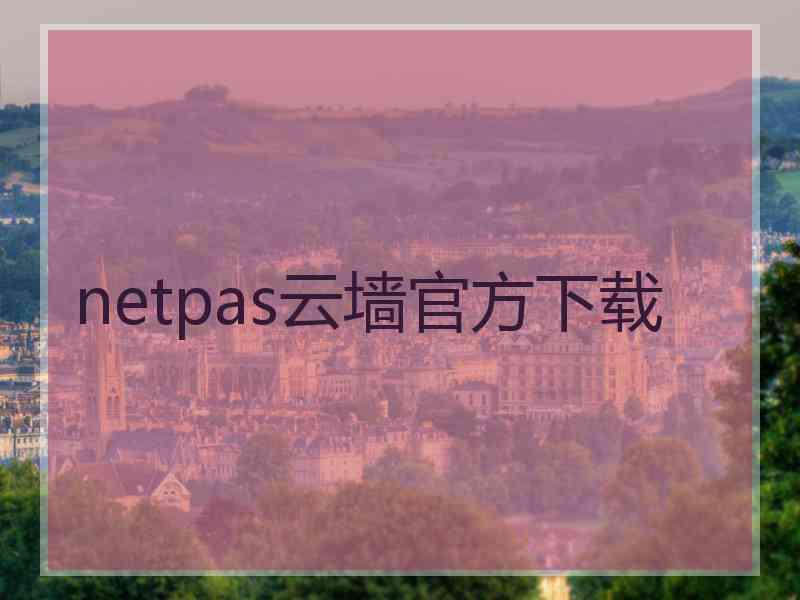 netpas云墙官方下载