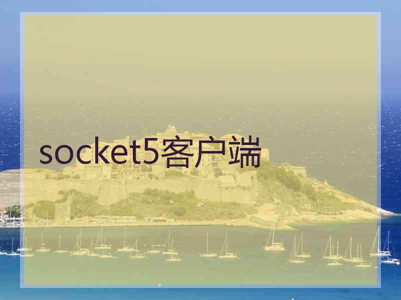 socket5客户端